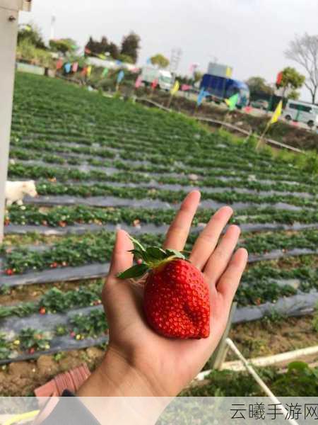 草莓视频ios:1. 草莓视频:畅享全球最新影视热播