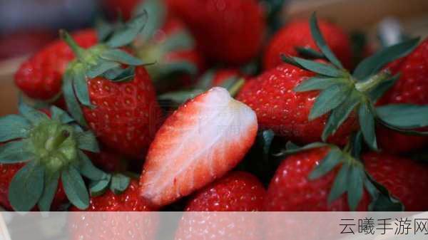 草莓视频ios:1. 草莓视频:畅享全球最新影视热播