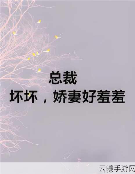 羞羞在线阅读破解:1. "探索羞羞在线阅读:破解与分享之旅