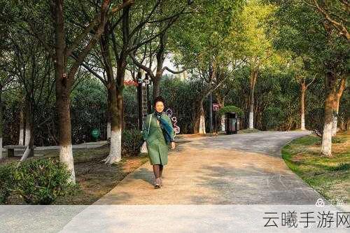 篮球队的公共玩具正伟是谁写的:篮球队的公共玩具:正伟背后的故事与启示