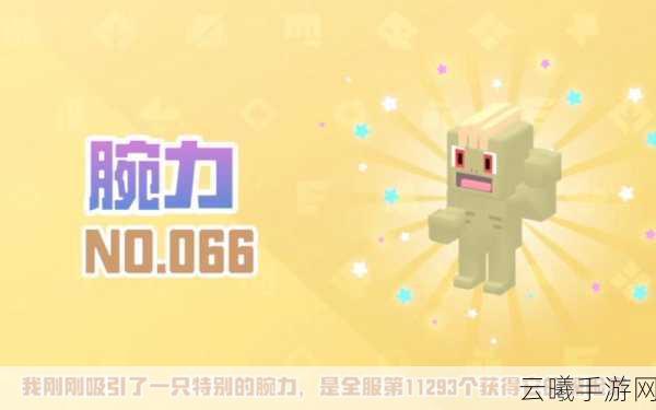 宝可梦大探险腕力进化全解析,打造你的格斗系强者!