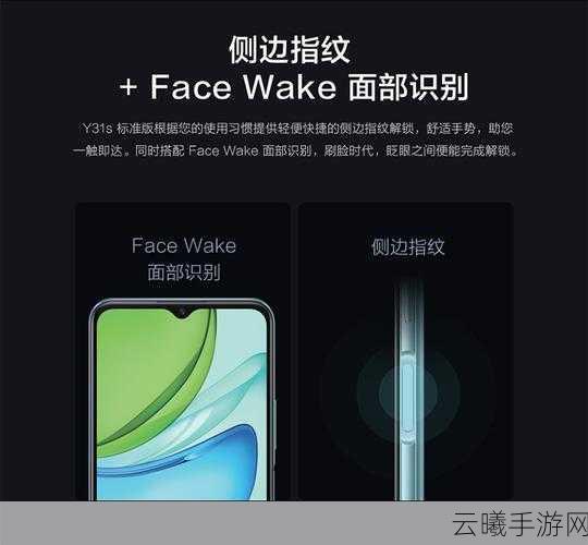 好成色的y31s:1. “探索Y31s:如何充分发挥其潜能”