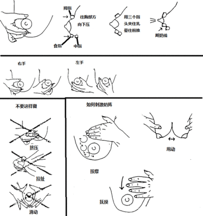 边亲边摸下奶韩国:1. 边亲边摸下奶:韩国育儿新风潮