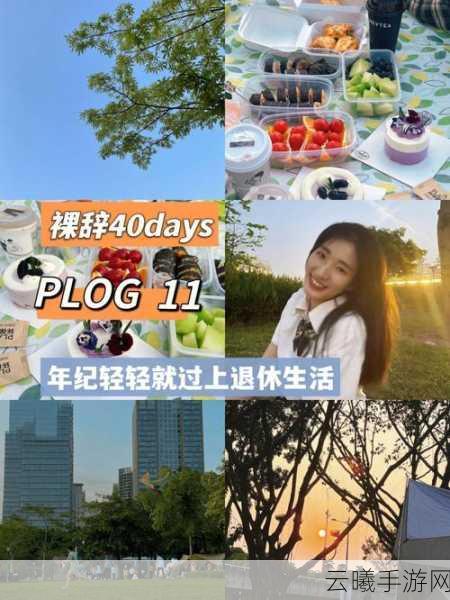 51热门往期内容:1. 51热门往期回顾:发现新的生活灵感