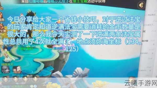 梦幻西游手游男号女号省钱攻略与趣味玩法大揭秘