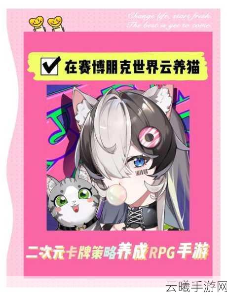 猫之城涂鸦获得方法全揭秘,解锁创意无限的战斗新体验
