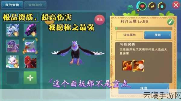 创造与魔法云鹰获取攻略及趣味玩法深度解析