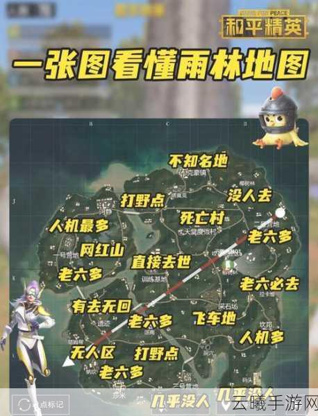 和平精英,雨林画质调整秘籍与画面设置攻略,助你精准锁定敌人,畅享极致对战乐趣