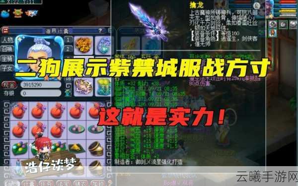 梦幻西游手游方寸山封印命中率深度解析,掌握封印奥秘,主宰战局风云