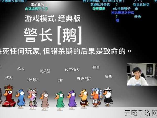 鹅鸭杀中鹈鹕职业技能深度剖析与实战策略指南,解锁全新烧脑乐趣