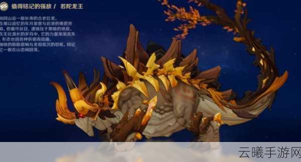原神若陀龙王版攻略详解,深度解析战斗技巧,助你轻松征服龙王挑战