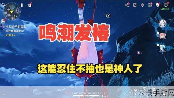 鸣潮椿究竟值不值得拥有?深度性价比剖析