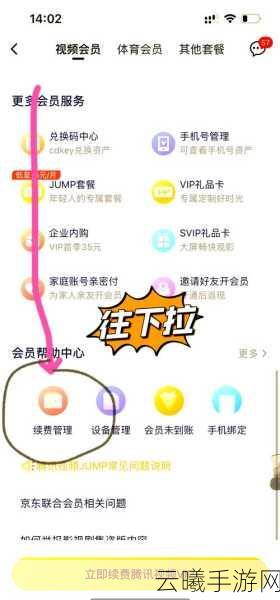 轻松摆脱 WPS 会员自动续费困扰,秘籍在此!