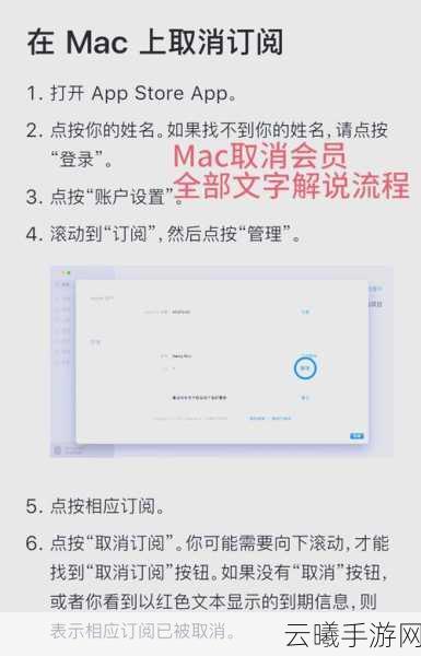 轻松摆脱 WPS 会员自动续费困扰,秘籍在此!