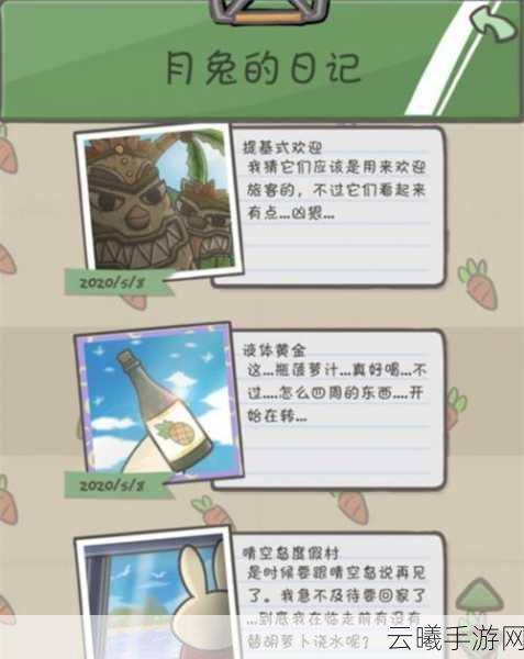 月兔历险记,探秘森林的绝佳玩法秘籍