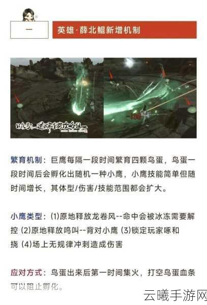 剑网 3 英雄夕颜阁，5 人副本通关秘籍大揭秘