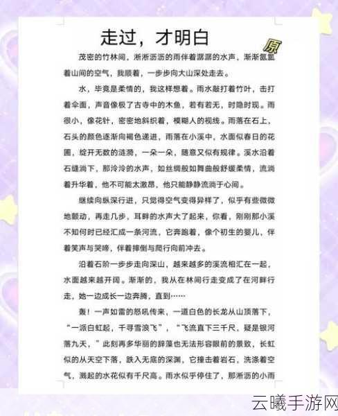 探索买道引证解释的神秘之旅