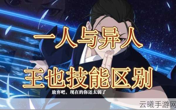一人之下手游,减CD流装备搭配推荐攻略,打造无限技能连招新体验!