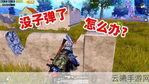 和平精英狙击手麦克游戏解说,揭秘高手战术与趣味玩法
