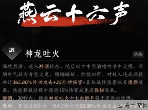 燕云十六声神龙覆面任务终极攻略,解锁隐藏剧情与趣味玩法大揭秘