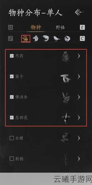 燕云十六声神龙覆面任务终极攻略,解锁隐藏剧情与趣味玩法大揭秘
