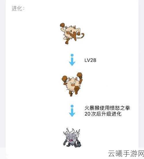 精灵宝可梦GO，多刺菊石兽养成秘籍与培养技巧全面解析——探索化石精灵的奇妙之旅