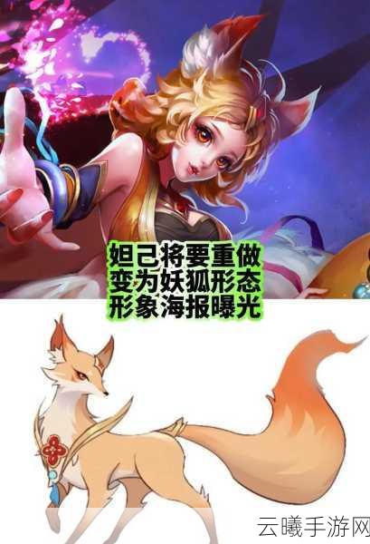 王者荣耀发育流妲己全攻略,从新手到高手的蜕变