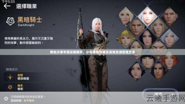 黑色沙漠,头目秘密揭秘手游深度解析与趣味玩法介绍