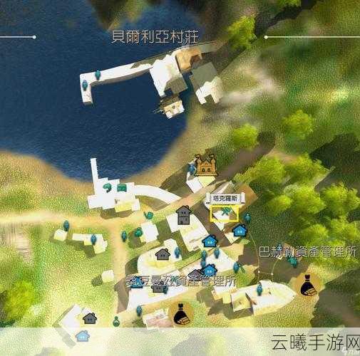 黑色沙漠,头目秘密揭秘手游深度解析与趣味玩法介绍