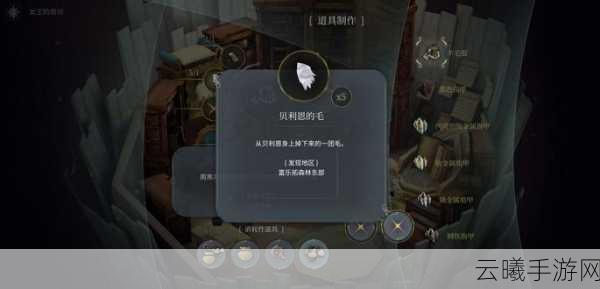 魔女之泉4最新探险资讯,深入卡巴内斯洞窟,揭秘精灵项链商人奇遇