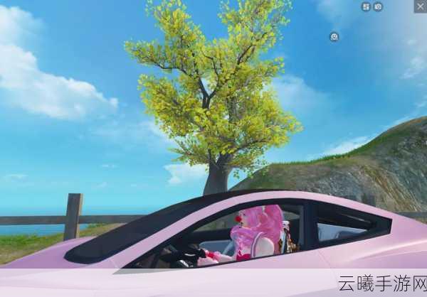 和平精英特斯拉车钥匙交易全攻略,解锁炫酷座驾,探索无限乐趣!