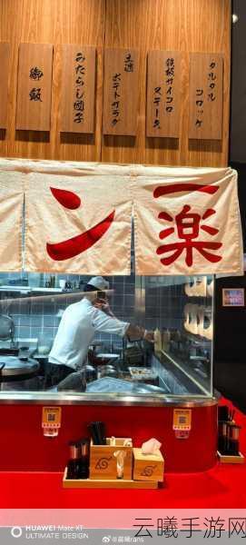 火影忍者拉面传奇,探索一乐拉面中的27种神秘材料