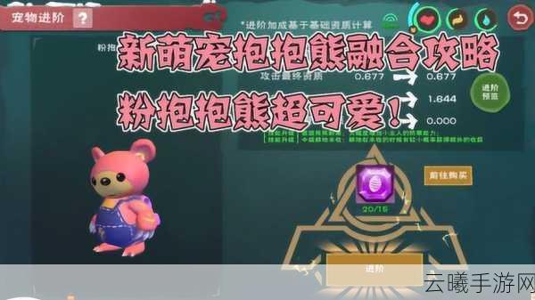 创造与魔法稳6阶抱抱熊养成攻略,解锁趣味新玩法!