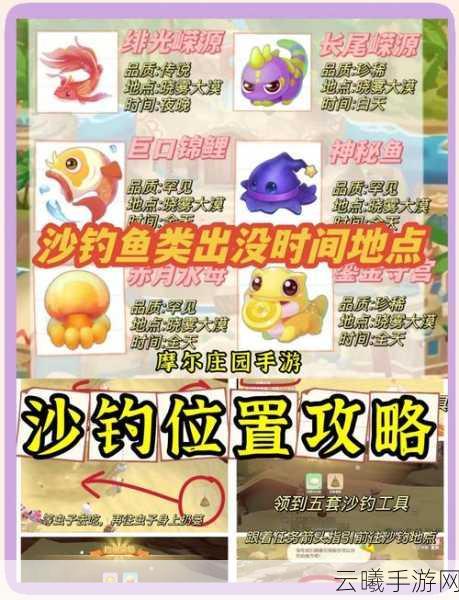 摩尔庄园手游,许愿龟钓法全攻略及趣味钓鱼指南——钓鱼地点与时间深度解析