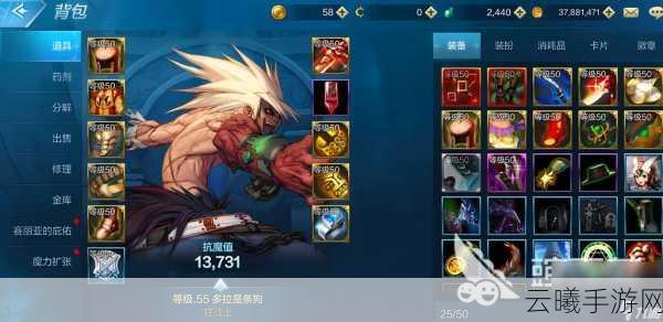 地下城与勇士手游,揭秘智力卡与冰强卡,探索无限战斗乐趣