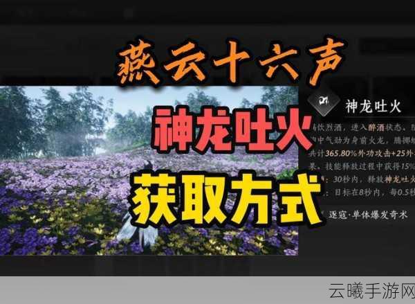 燕云十六声神秘药品制作秘籍大公开