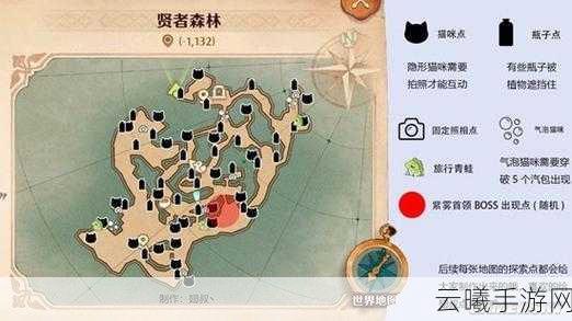 森之国度冰雪喵的神秘魅力全解析