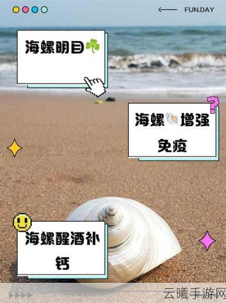 宝可梦大探险海螺获取攻略及趣味玩法揭秘