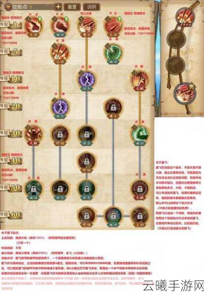 航海王燃烧意志光月御殿技能搭配全攻略,解锁和之国武士的极致战力!