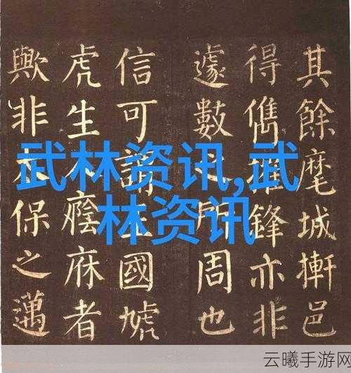 混沌与秩序,揭秘27级侣僧武术双技能之谜及趣味玩法探索