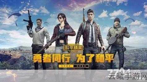 和平精英四地图深度解析,优缺点探讨与实战策略,揭秘趣味玩法