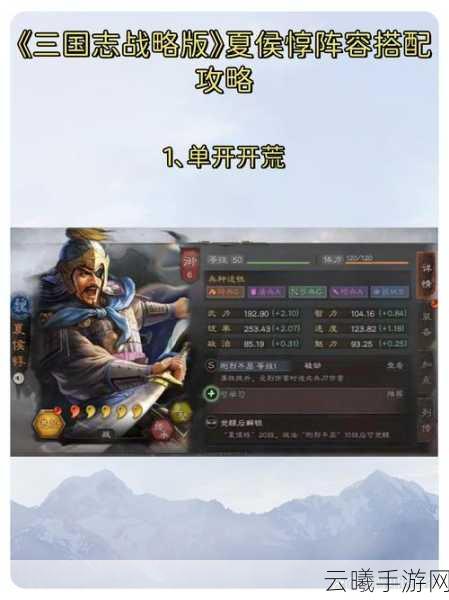 三国志战略版开荒攻略,五星级武将选择全解析与趣味玩法探索