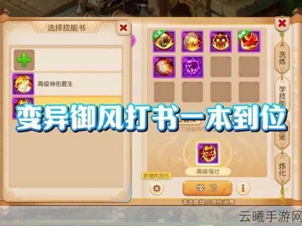 梦幻西游手游御风宠物是否该选择反震?深度解析与趣味玩法揭秘