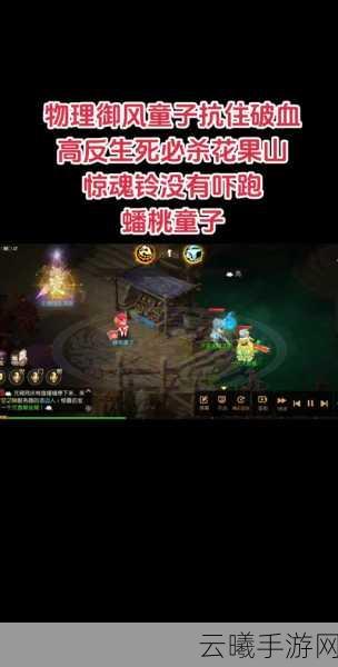 梦幻西游手游御风宠物是否该选择反震?深度解析与趣味玩法揭秘