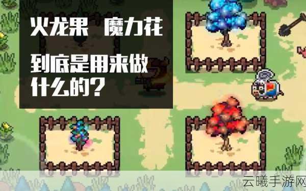 元气骑士火龙果树种子获取攻略及趣味玩法揭秘