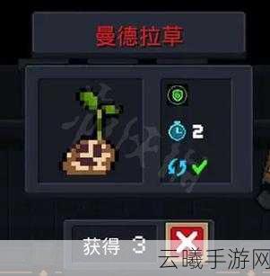 元气骑士火龙果树种子获取攻略及趣味玩法揭秘