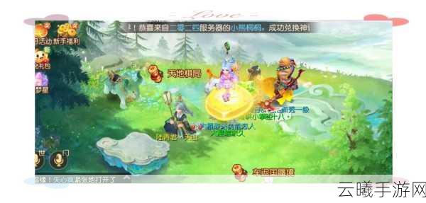 梦幻西游手游卡69级深度解析,策略与乐趣并存的奇妙之旅