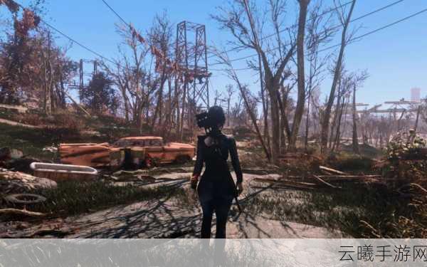 辐射4手游版,流派选择与属性代码全揭秘,废土探险新体验!