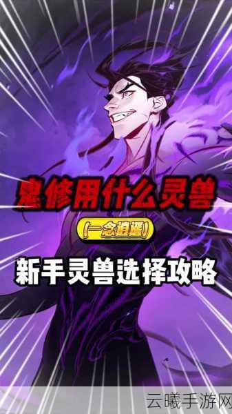 一念逍遥紫色古宝碎片获取攻略及趣味玩法介绍