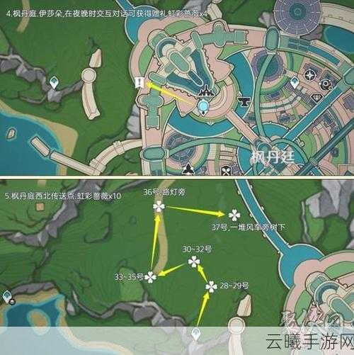 原神73个虹彩蔷薇采集路线全攻略,解锁枫丹的浪漫秘密